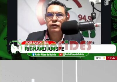 #GrupoFides | #ANF El diputado del ala arcista del Movimiento al Socialismo (MAS), Hernán…