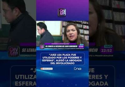 Abogada asegura que Lea Plaza fue «utilizado»