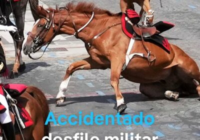 Un caballo se desplomó y otro se desbocó en el desfile del Día de…