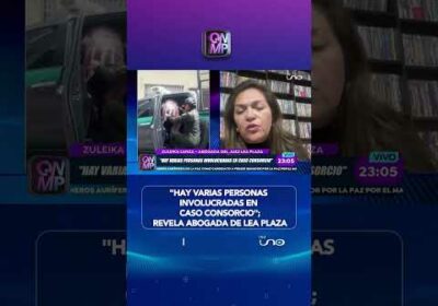 Abogada de Lea Plaza dice que hay más implicados en caso consorcio