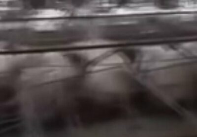 #GrupoFides | #ANF Roxana Veizaga, representante de los porcicultores de Cochabamba, denunció un incremento…