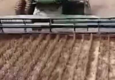 #GrupoFides | #ANF El ministro de Desarrollo Rural y Tierras, Yamil Flores, afirmó que…