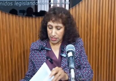 #GrupoFides | #ANF La asambleísta Luz Zubieta denunció que los hogares de acogida, dependientes…