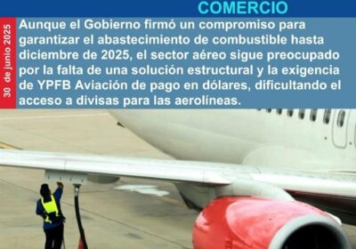 La aviación nacional se encuentra atravesando una profunda crisis, debido a la falta de…