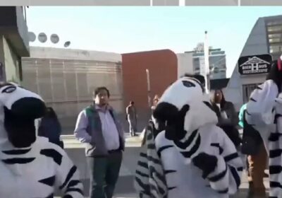 #GrupoFides | #ANF El programa de educación vial y ciudadana “Cebras” volvió a las…