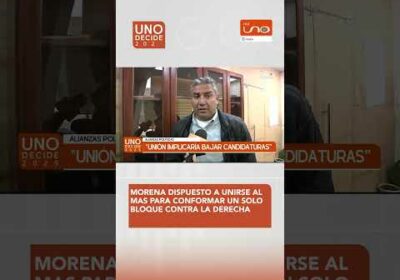 Morena dispuesto a unirse al MAS para conformar un solo bloque contra la derecha