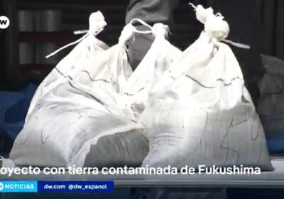 Reciclarán tierra contaminada de Fukushima Decenas de bolsas con tierra tratada en la descontaminación…
