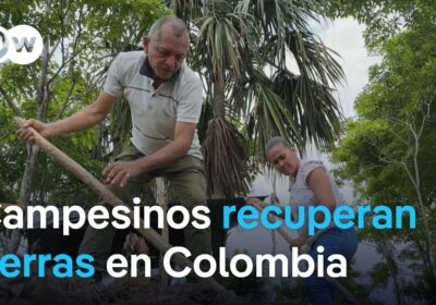 El Gobierno de Gustavo Petro promete impulsar la reforma agraria. Más de 7 millones…