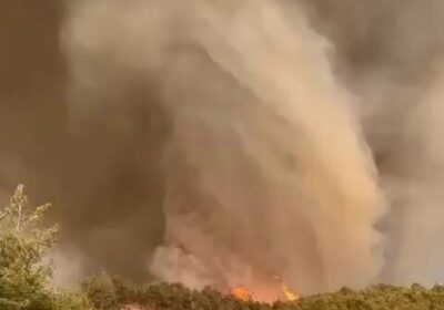🇹🇷 | Un tornado de fuego arrasa bosque del occidente de Turquía