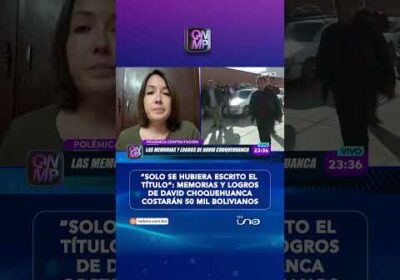 Diputada critica memorias y logros de Choquehuanca