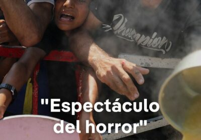 «Hambruna masiva» en Gaza «mata a los palestinos lentamente», afirman más de 100 organizaciones…