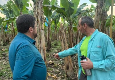 Visité la planta de plátano Victoria en el Chaparé. Esta empresa, a la cabeza…