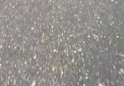 🇨🇴 | El alcalde de un pequeño municipio en Colombia fue captado por su…