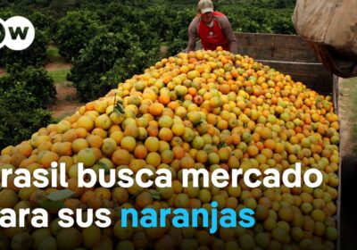Los aranceles de Trump ponen en jaque a los agricultores de Brasil Los planes…