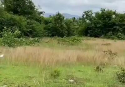 🇹🇭🇰🇭🇺🇸 | URGENTE — alerta a sus ciudadanos de no viajar a la frontera…