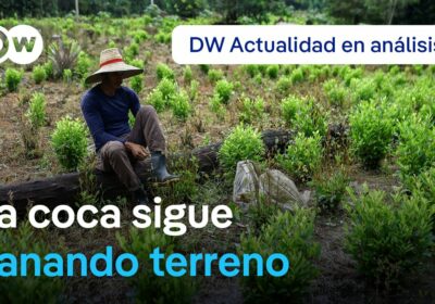 Gustavo Petro confirma aumento en cultivos de hoja de coca en Colombia Antes de…