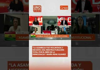 María René Álvarez pide reestructurar la Asamblea para fortalecer la democracia