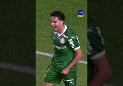¡Gol de Bruno Rodrigues! Palmeiras recupera la punta del Brasileirão ⚽🔥🇧🇷