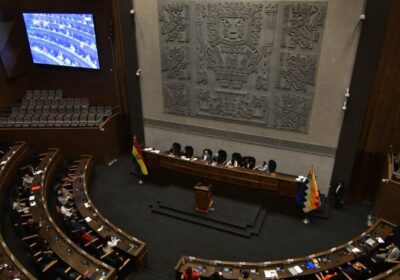 “No habiendo bloques de mayoría y minoría conformados” el día jueves recién se conformarán…