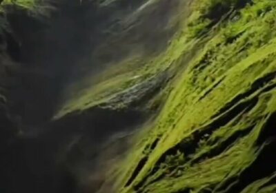 Las áreas protegidas son esenciales para la seguridad hídrica, climática y alimentaria del país.…