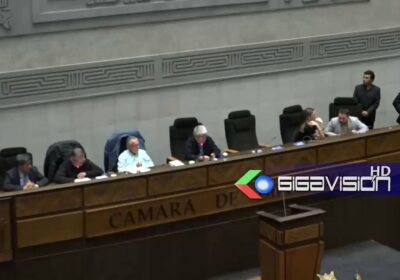 #LaPaz Diputada Diana Romero Saavedra esposa del Vicepresidente electo Edman Lara no asistió a…