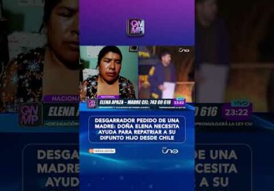 El desgarrador pedido de una madre