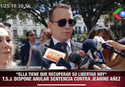 Presidente del Tribunal Supremo de Justicia Romer Saucedo sobre liberación de ex presidenta Jeanine…