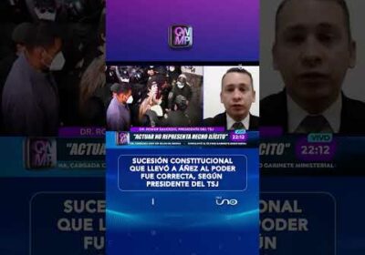 Sucesión constitucional de Áñez fue correcta