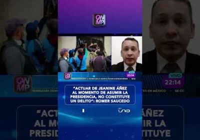 Actuar de Áñez no fue un delito