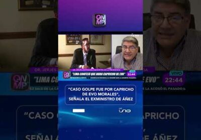 Justiniano: “La libertad de Añez refleja un cambio en la justicia”