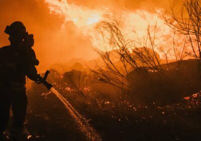 Los ministros de Medio Ambiente europeos llegaron a un acuerdo sobre un polémico plan…