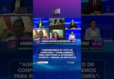 Daniela Cabrera anuncia que priorizarán leyes para reactivar la economía