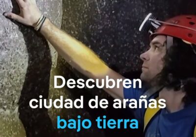 Científicos hallan megaciudad de arañas en una cueva entre Grecia y Albania En una…