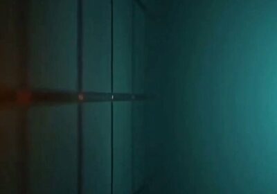 ¿Que fue lo que pasó? Esto pasó