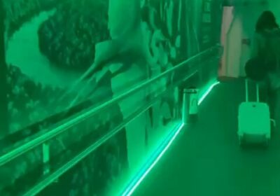 Bolivia, a través de la Plataforma Boliviana por el Cambio Climático, llega a la…