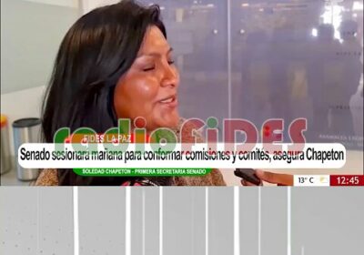#GrupoFides | #ANF La primera secretaria del Senado, Soledad Chapetón, informó que la Cámara…