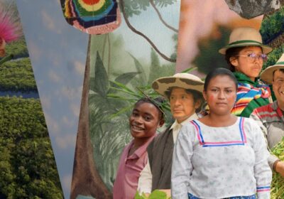 #GrupoFides | #ANF En la COP30, #Brasil prometió que en las negociaciones habrá mayor…