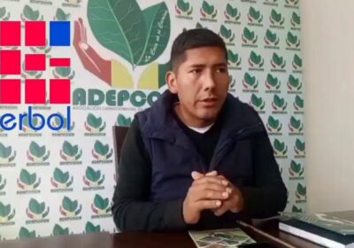 Presidente de Adepcoca, Daynor Chuquimia, afirma que en los Yungas no hay temor a…