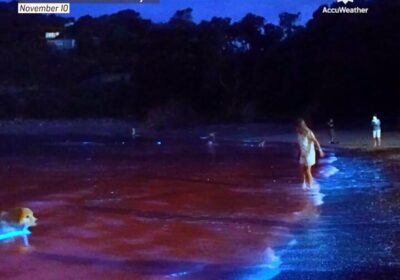 | Un perro y unos bañistas disfrutaron el lunes del impresionante espectáculo del agua…