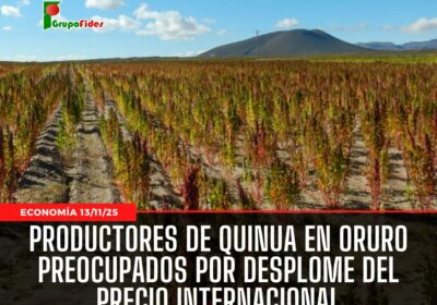 pérdidas, informó, Noel Ramírez, expresidente de la Cámara Nacional de la Quinua