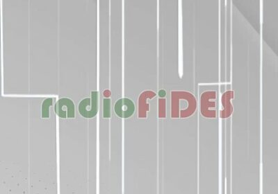 sobre la distribución de estos espacios