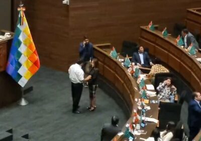 El panorama en la Cámara de Diputados, donde se tendría que sesionar para elegir…