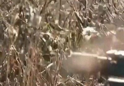 Alemania ordena la inspección militar de todos los jóvenes Alemania impone un servicio militar…