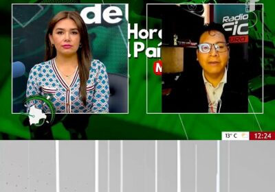 vocales electorales o de las autoridades subnacionales