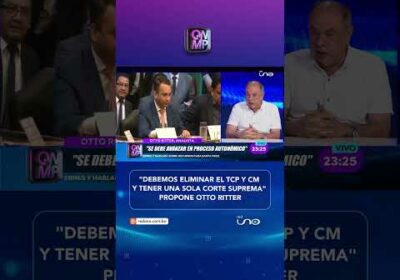 El analista Otto Ritter planteó eliminar el Tribunal Constitucional
