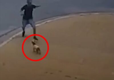 🇦🇷 | Un hombre fue detenido en Buenos Aires tras ser grabado pateando a…