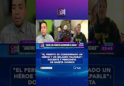 El perrito héroe que ayudó a Lucas en el cerro Puñay