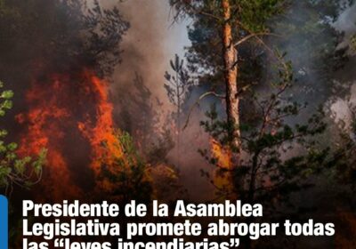 #GrupoFides | #ANF #CuidadoDeLaCasaComún En las últimas gestiones se registraron las mayores pérdidas de…