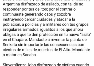 #GrupoFides | #ANF #Política La expresidenta Jeanine Añez respondió a Evo Morales y lo…