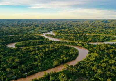 #GrupoFides | #ANF #CuidadoDeLaCasaComún 𝐆𝐫𝐞𝐞𝐧𝐩𝐞𝐚𝐜𝐞 𝐞𝐱𝐢𝐠𝐞 𝐜𝐮𝐚𝐭𝐫𝐨 𝐚𝐜𝐜𝐢𝐨𝐧𝐞𝐬 𝐮𝐫𝐠𝐞𝐧𝐭𝐞𝐬 𝐞𝐧 𝐥𝐚 𝐂𝐎𝐏𝟑𝟎 𝐩𝐚𝐫𝐚 𝐬𝐚𝐥𝐯𝐚𝐫…